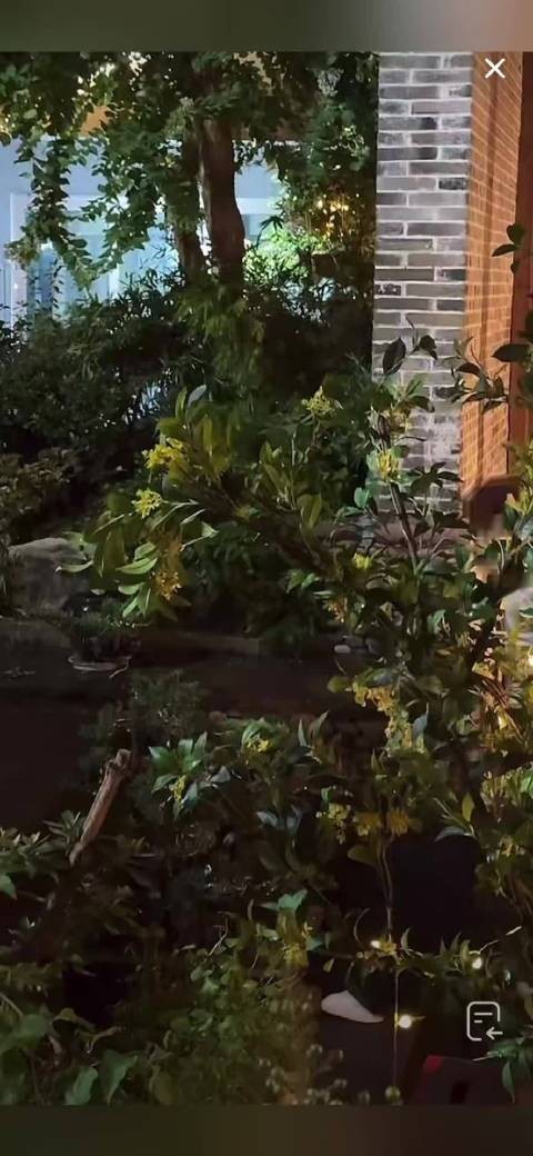 短剧边拍边直播,正剧包裹严实,黄宥天张楚萱新剧现场