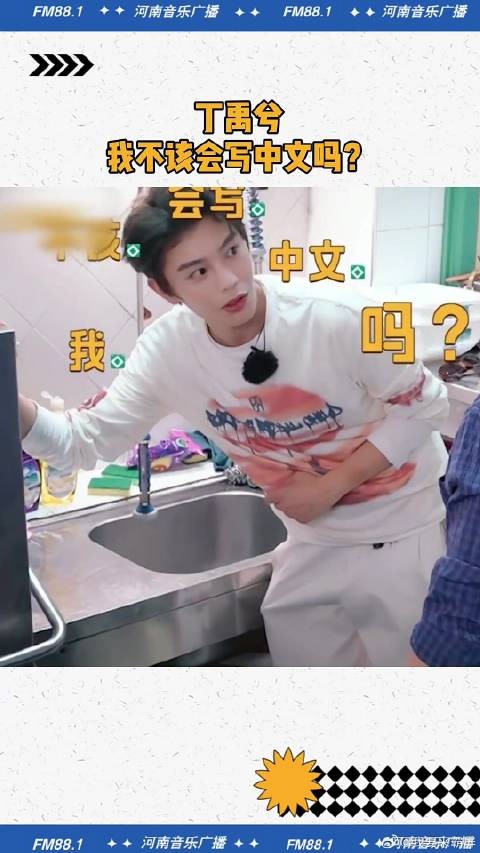 丁禹兮：我不该会写中文吗？