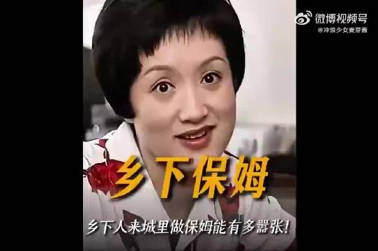 田教授家的28个保姆，小时候看过