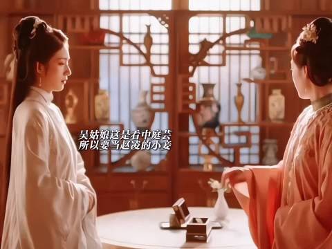 吴姑娘看中庭芸所以想要嫁给赵凌,任何条件都可以只有赵凌不行