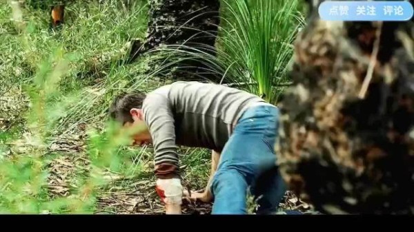 设陷阱反杀怪物却遭挣脱秒杀,幸存者如何逃生?