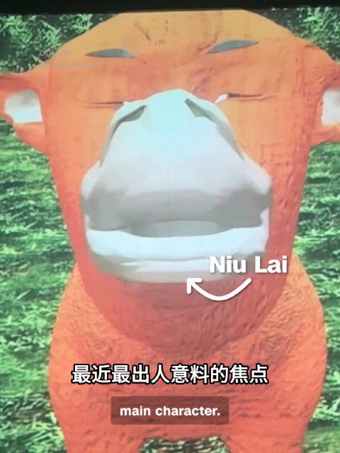 哈哈哈~~CNN也现场报道了中国现象级大爆的新闻了!甚至还有采访!