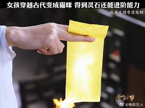 女孩穿越古代变成猫咪得到灵石还能进阶能力我在大