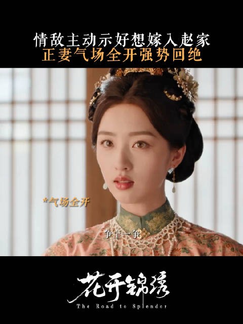 赵凌正室火力全开中