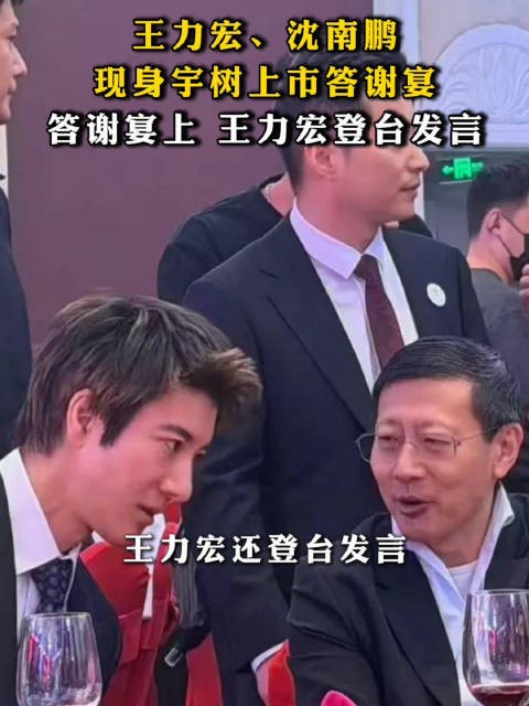 王力宏在宇树上市答谢宴发言