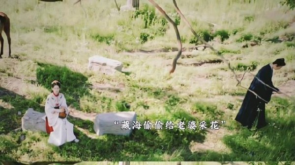 藏海为荼荼采花藏背后，浪漫举动显深情