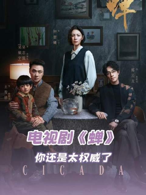 这部《蝉》精准拿捏观众心头好！电视剧蝉定档0820
