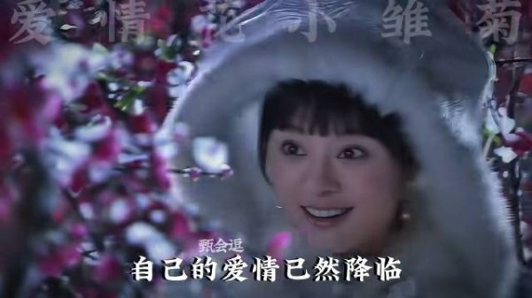 碎玉轩门口的对联稳，准，狠的概括了皇上对甄嬛这一生的感情
