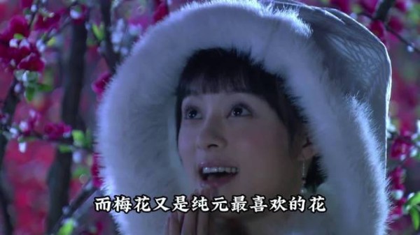 梅花是纯元喜欢的花
