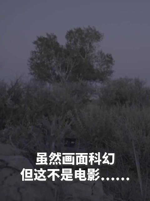 激光炮灭蚊场景科幻感拉满