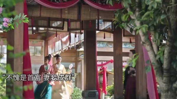 好家伙，不愧是淮州首富，娶了十八房夫人，去哪里都是一群