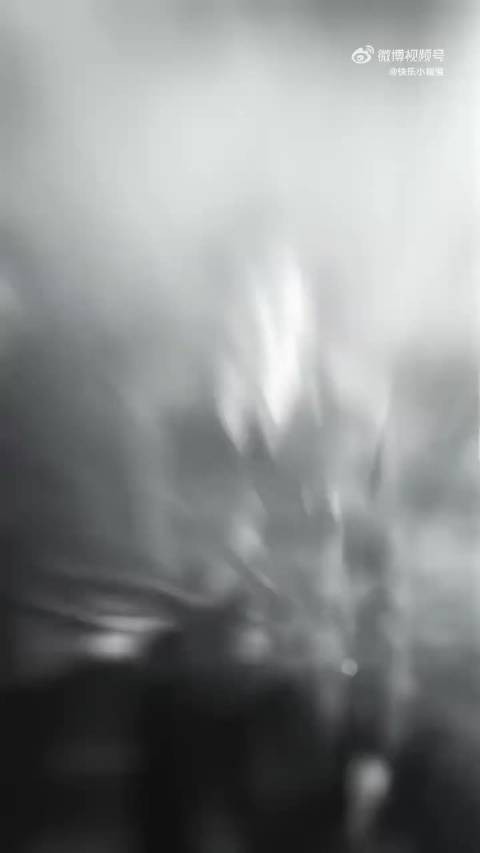 陈伟霆收官放出99张合照，满满物料投喂粉丝