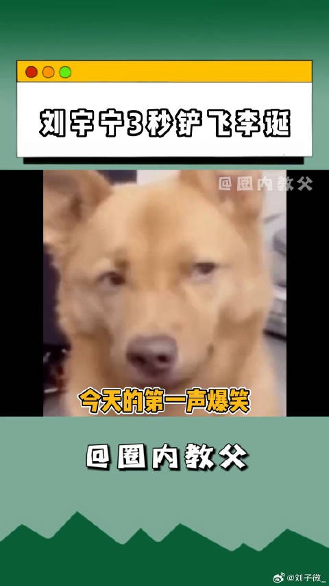 刘宇宁 的爆笑名场面又加一, 一不小心还给铲飞了,又心疼又好笑