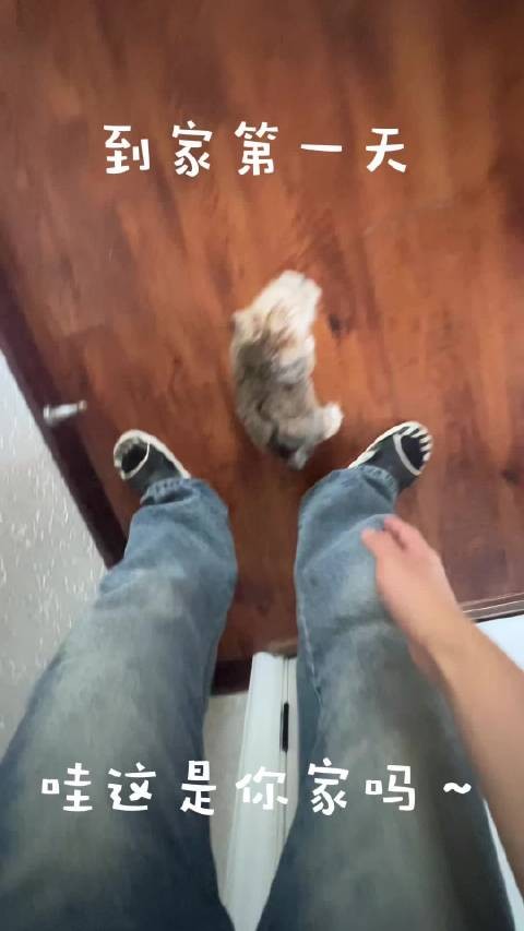 我姐说这是当时一窝里最乖的一只