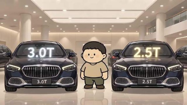 为什么奔驰S级 国内是2.5T 国外却是3.0T