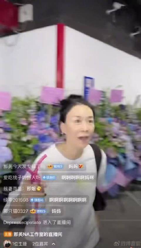 那英演唱会含星量