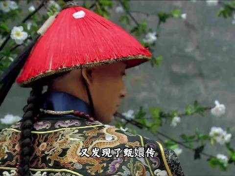 甄嬛传果然常看常新， 又是一个未曾设想过的角度