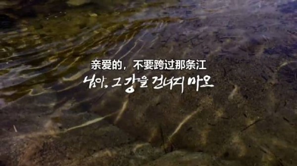 亲爱的，不要跨过那条江