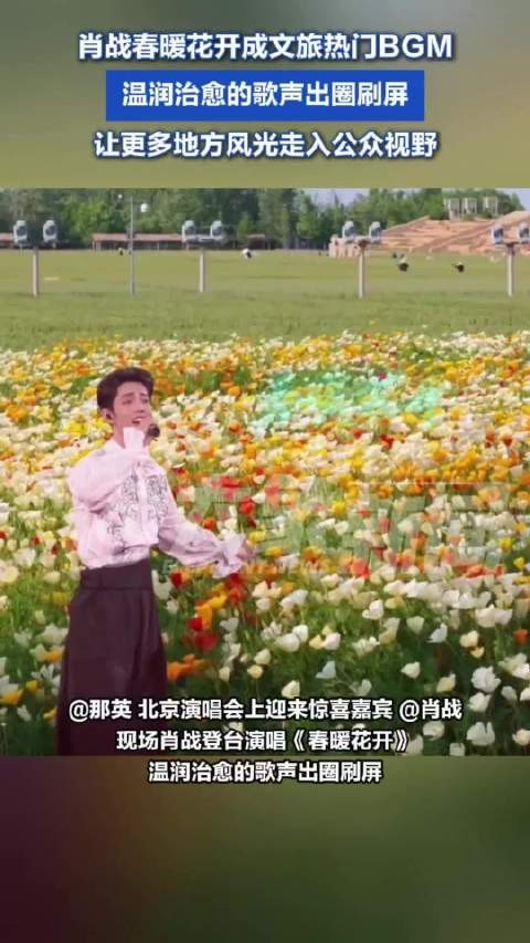 肖战春暖花开成文旅热门BGM
