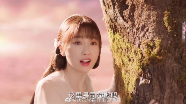 东方青苍为哄小兰花开心 为她建一座司命殿，太奢侈