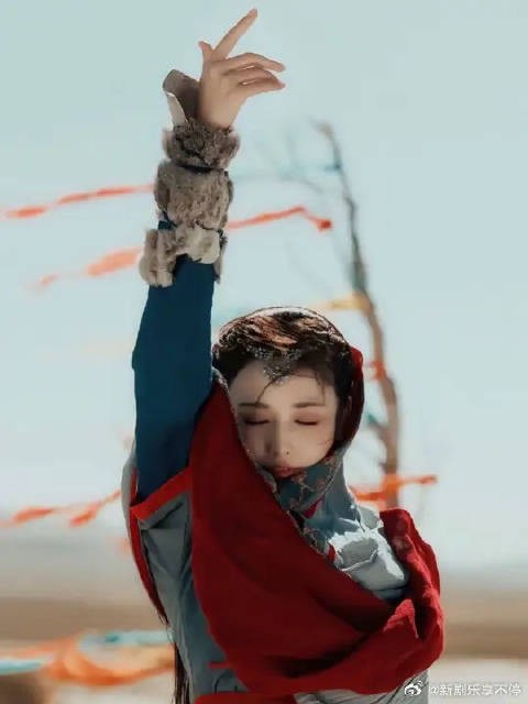 小枫永远都是丹蚩和西州最尊贵的小公主,是铁达尔王最最珍视的掌上明珠!