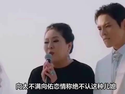 向太自曝逼向佑分手,坦言为护子操心