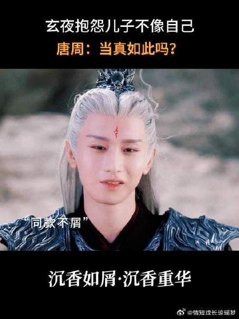 玄夜，你儿子当真是随了母亲吗？