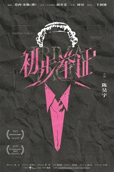 切换二十余个身份 看她如何独自“初步举证”