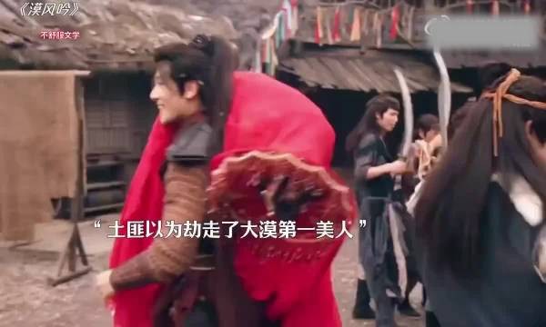 “大漠狂徒劫走和亲公主，竟阴差阳错成了公主的男人”