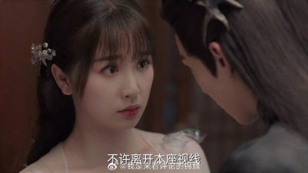 东方青苍化身粘人小可爱 要和小兰花睡一起:你属于本座