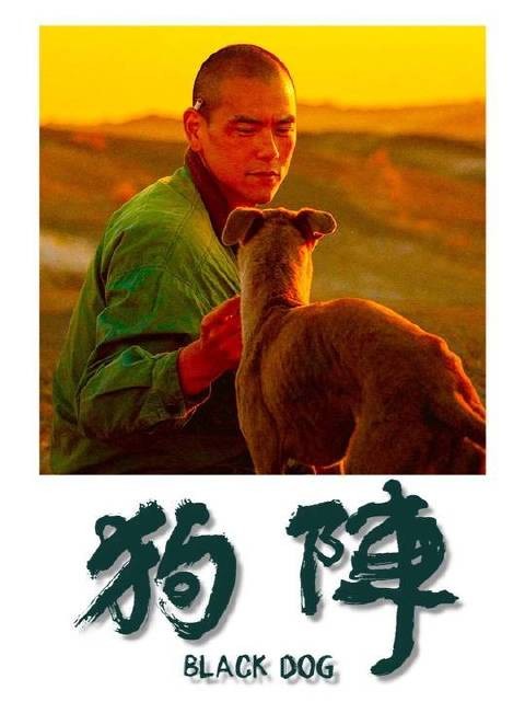 《狗阵》 两个被世界放逐的灵魂——人与犬,在苍茫荒漠里彼此托举、相互成全
