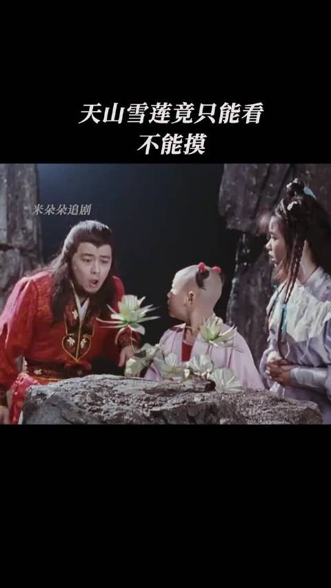 天山雪莲竟只能看不能摸 天庭外传 林志颖 释小龙 郝劭文