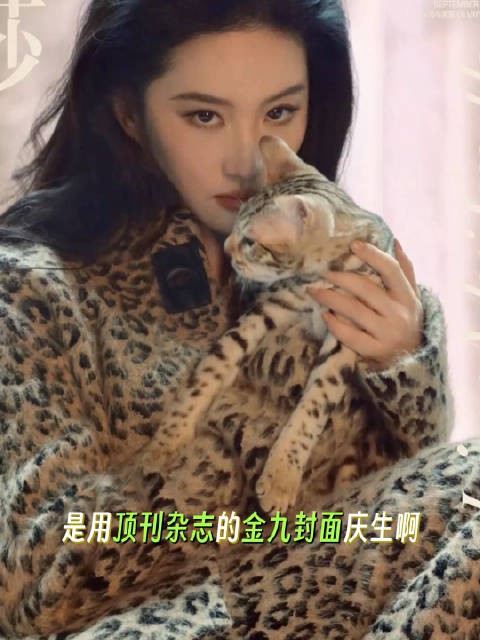所有人,审美积累!刘亦菲太权威了