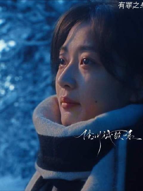 三年后夏雪出狱看到了这十年陆鸣写给自己的信真的哭了