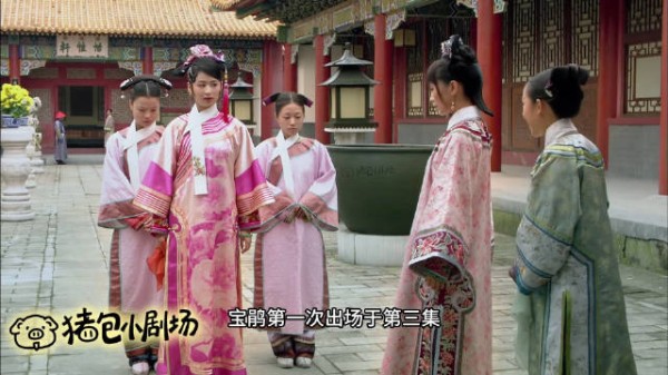 小角色亦精彩系列第一期宝鹃（01）