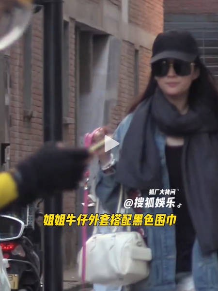 刘亦菲送小狗去宠物店