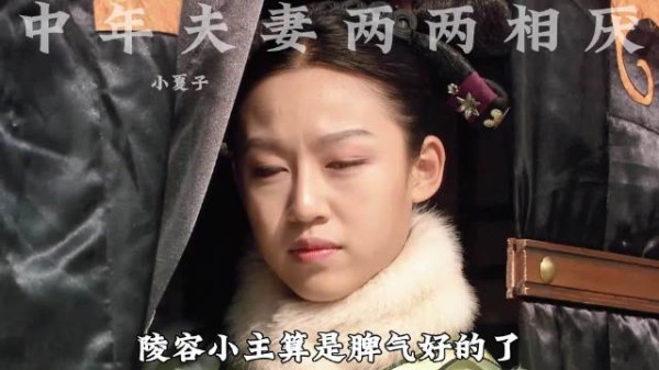 中年夫妻两两相厌 胖橘用纯元恶心宜修 宜修用华妃气着胖橘