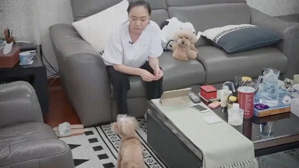 刘雪华一直独身竟然是因为情伤