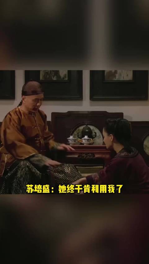 苏培盛:她终于肯利用我了!