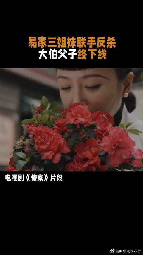 传家的女人没一个好惹 易家三姐妹联手便是最佳!