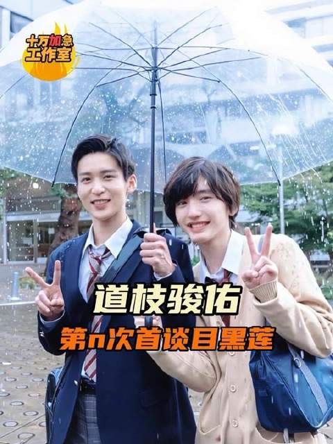 情感仿佛比预想中更加明媚温暖