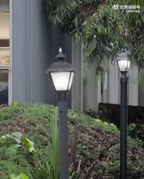 谷爱凌的外婆绝对是个人物,一把年纪还透露着一股狠劲