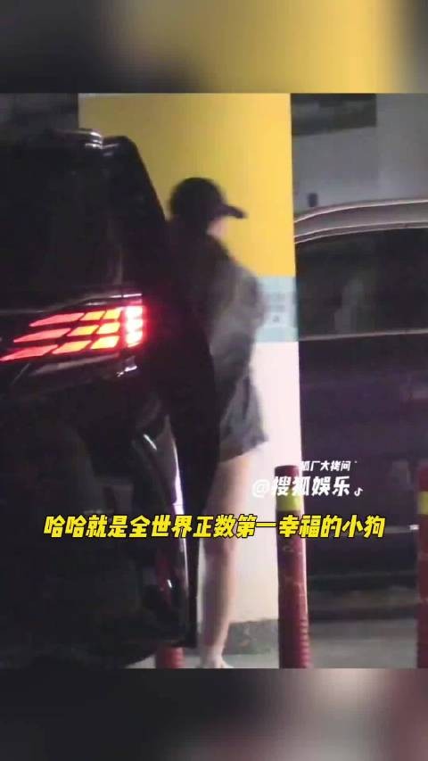 刘亦菲饭后送小狗去宠物店, 哈哈简直全世界正数第一幸福的小狗