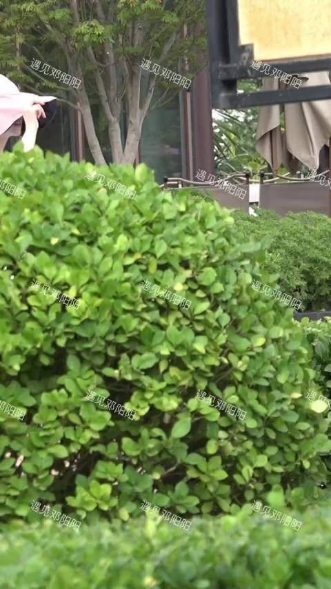 景甜事件后首现身,素颜运动装状态松弛