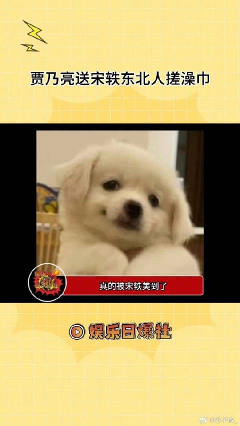 哈哈哈哈美女也无法拒绝东北搓澡的魅力！贾乃亮送宋轶东北人搓澡巾