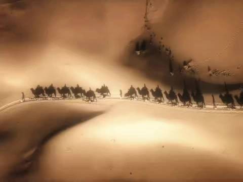 辛芷蕾这波整活直接给我看愣了,姐你还有多少惊喜是我不知道的