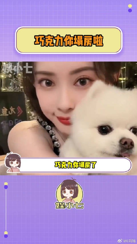 巧克力:蛐蛐我?反黑!快来人给我反黑!小狗 曾舜晞