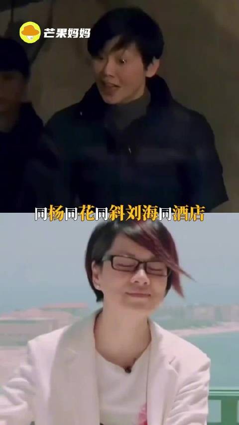 杨洋杨紫频繁上旅综，网友调侃放过杨家人
