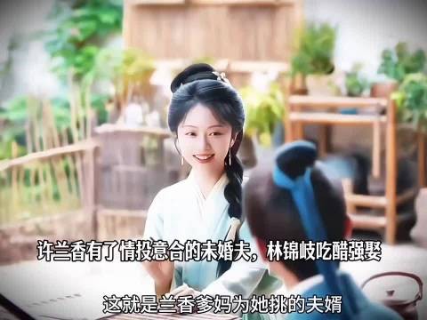 许兰香有情投意合未婚夫，林锦岐吃醋强取豪夺