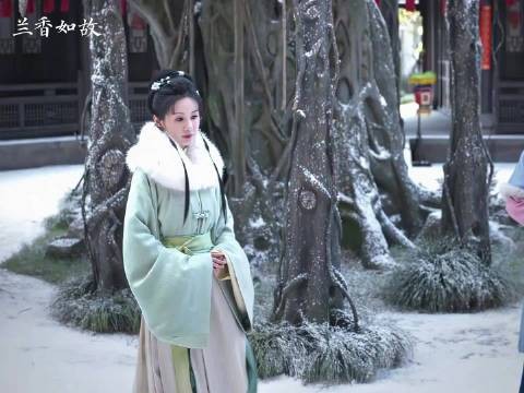 确实出彩还是刻意?兰香如故配角CP被质疑压过主角